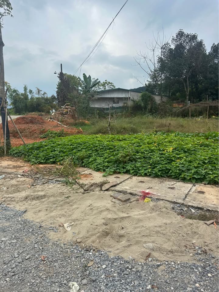 Đất nền đường Nguyễn Danh Phương, Lào Cai 100m² giá 1.8 tỷ - Cơ hội đầu tư sinh lời!