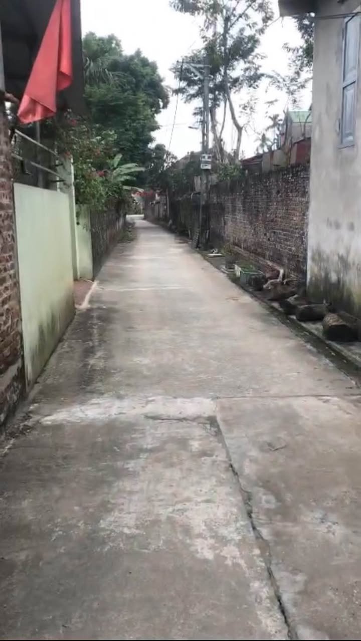 Đất nền Tự Nhiên Thường Tín 105m² giá 3.37 tỷ - Lô góc siêu thoáng, ô tô vào tận nơi!