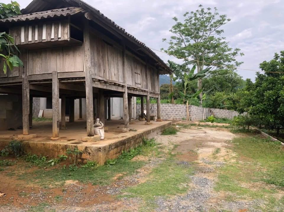 Đất thổ cư 200m² xóm Đon, xã Mỹ Hòa, Tân Lạc giá chỉ 500 triệu - Nhà sàn truyền thống độc đáo!