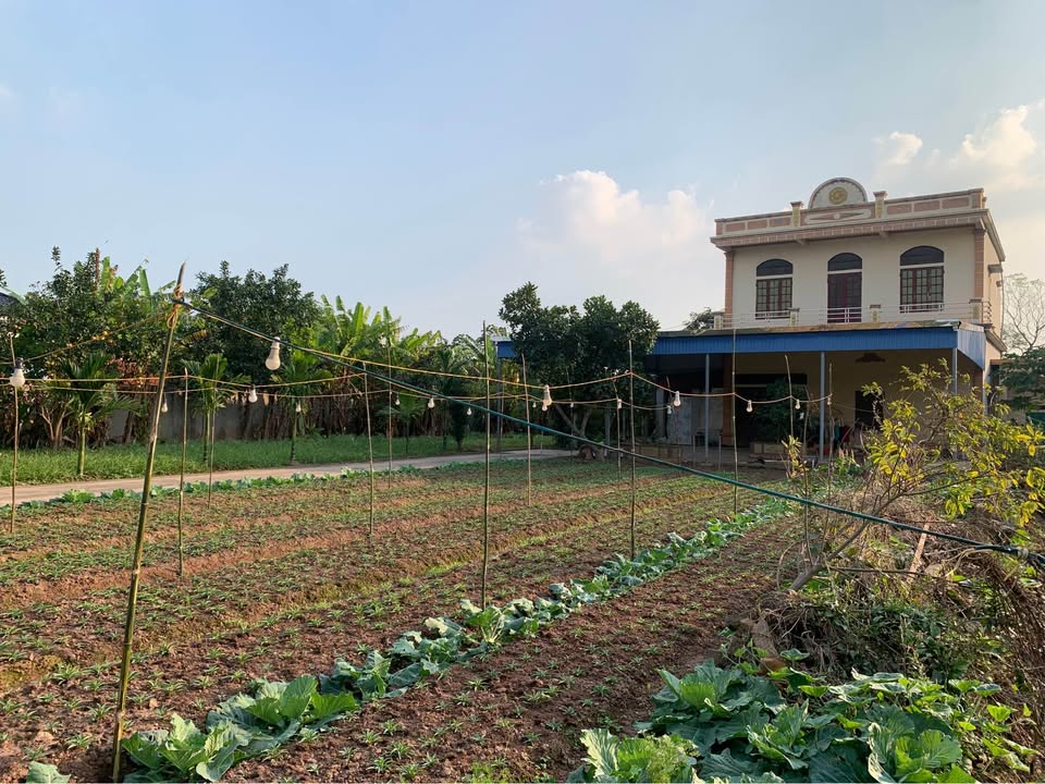 Đất nền 1050m² tại Mỹ Tân, giá 9 tỷ - Sổ đỏ chính chủ, thương lượng ngay!