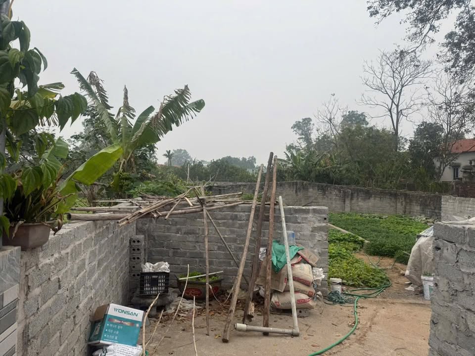 Đất nền Dũng Tiến, Thường Tín 43.5m² - Vị trí đắc địa, đông dân cư!