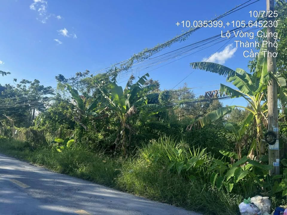 Đất nền Tân Thới, Phong Điền, Cần Thơ 1511m² giá 2.6 tỷ - Cơ hội đầu tư tuyệt vời!