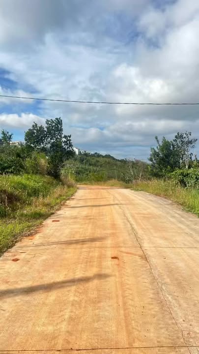 Đất mặt tiền Đường Lô 2, Biển Xanh, Đắk Song 20m² giá 1 tỷ - Cơ hội đầu tư tuyệt vời!