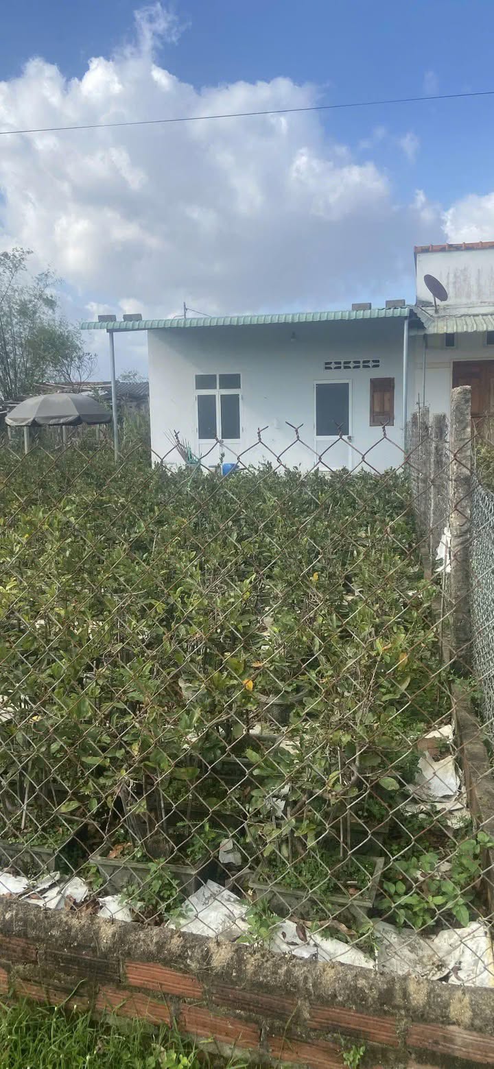 Đất Nhơn An 316m² giá 1.1 tỷ - Thích hợp xây biệt thự nghỉ dưỡng