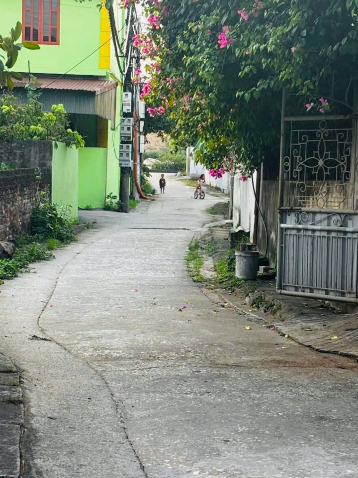 Đất nền Sơn Nam, Hưng Yên 88m² giá 1 tỷ - Mặt tiền 5m, ô tô vào tận nơi!