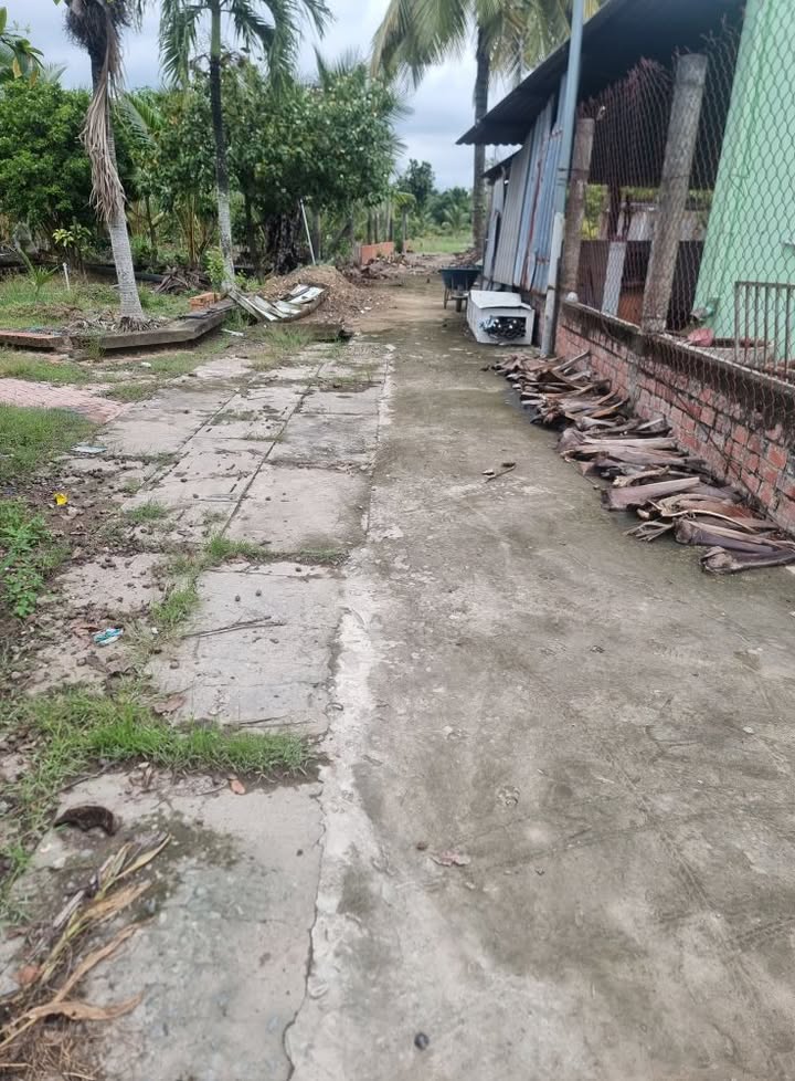 Đất nền phường Thanh Đức, Long Hồ 3000m² giá chỉ 3.6 tỷ - Cơ hội đầu tư hấp dẫn!