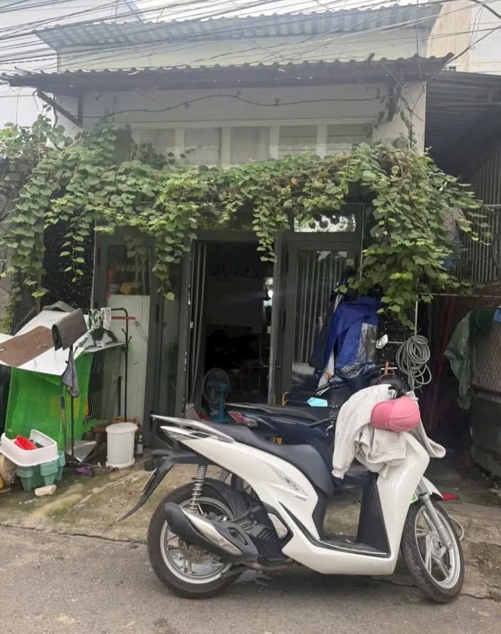 Dãy trọ 124.8m² tại Phú Hòa, Thủ Dầu Một - Đầu tư sinh lời, thu nhập 10 triệu/tháng!