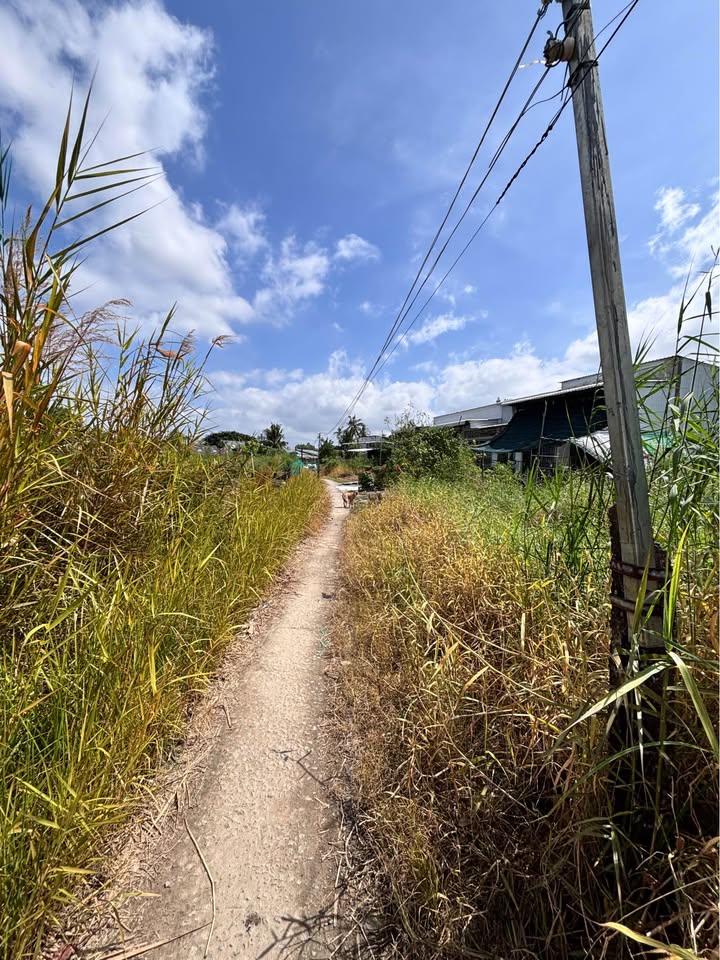 Đất nền Lý Văn Lâm 561m² giá 2.805 tỷ - Sổ hồng sẵn, vị trí thuận lợi!