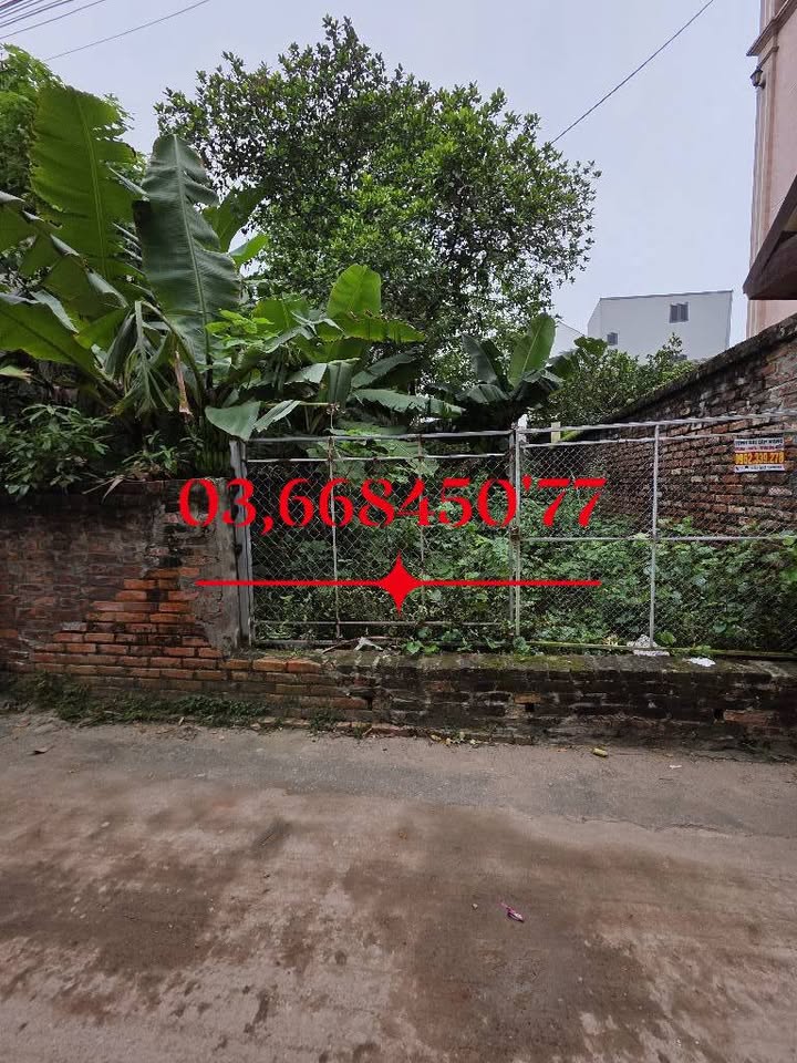 Đất An Khánh Hoài Đức 121,3m² - Đầu tư sinh lời tiềm năng!