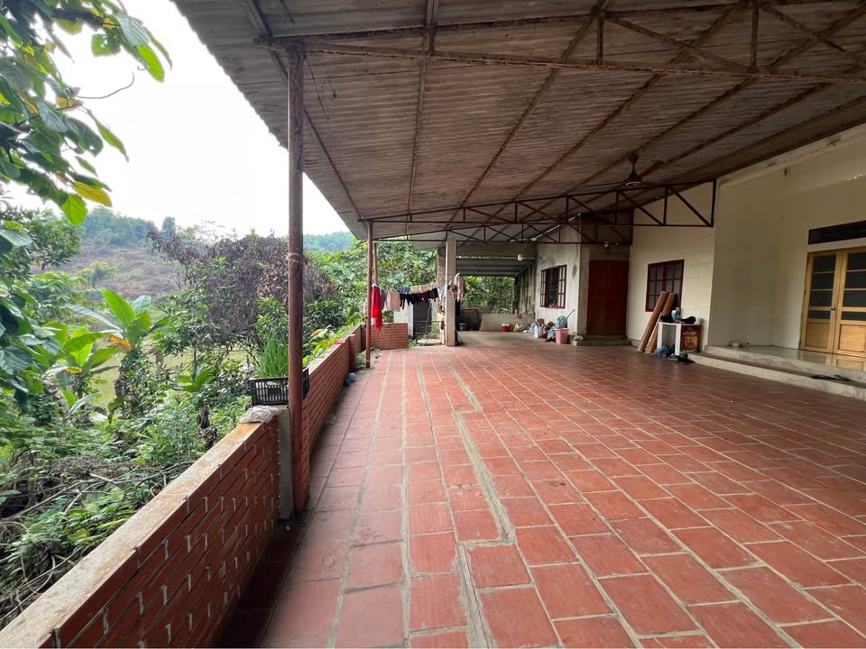 Farm thôn 6 Trung Môn, Yên Sơn, 4ha - Đường ô tô vào tận nơi!