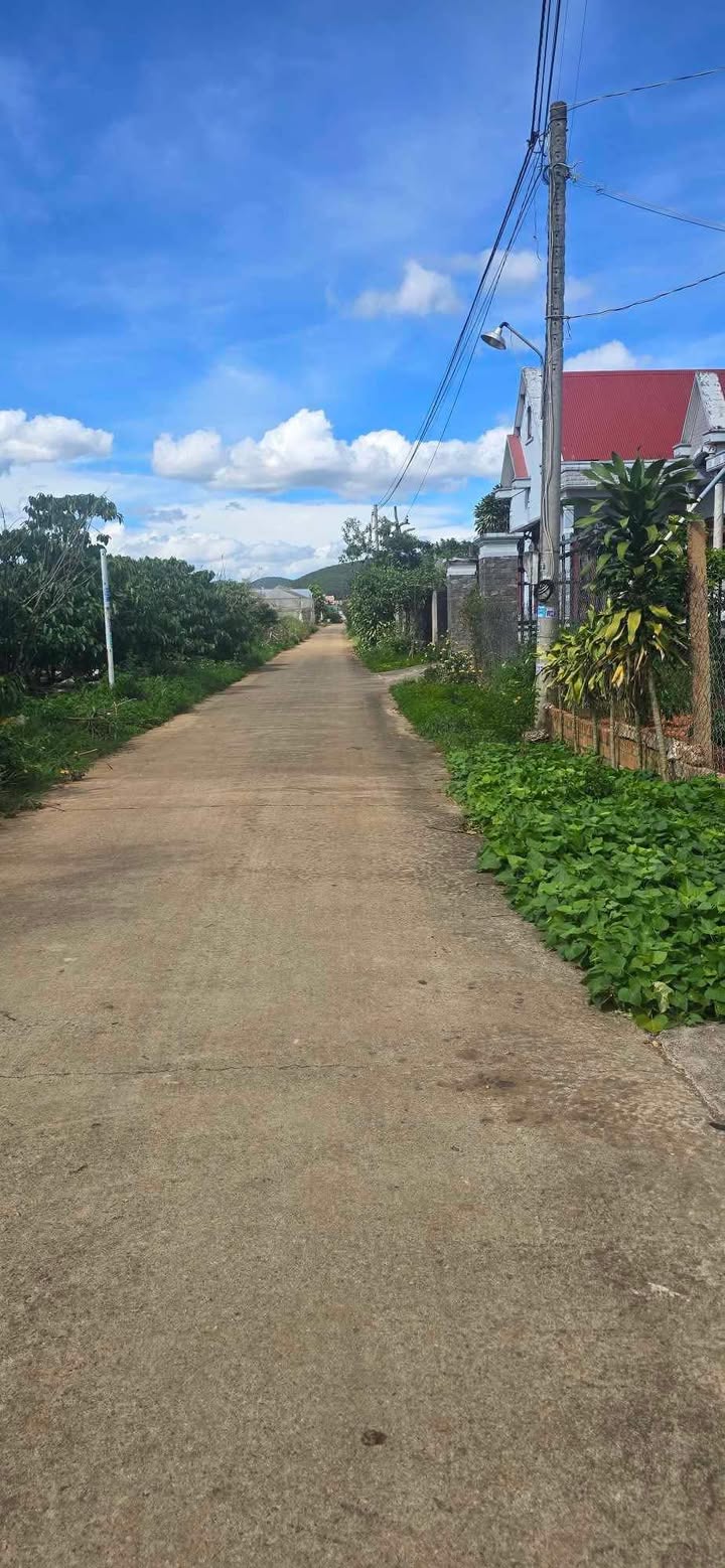 Bán nhà đất Lâm Hà 1.600m² giá 3 tỷ - Đầu tư sinh lời ngay!