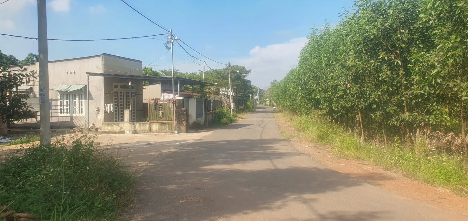 Đất thổ cư 1126m² xã An Viễn, giá 7.5 tỷ - Mặt tiền nhựa 45m