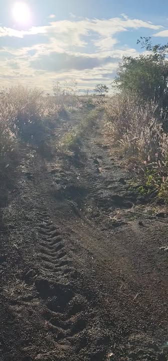 Đất nền 1,9ha tại xã Ia Kó, Gia Lai - Sổ hồng chính chủ, giá thỏa thuận