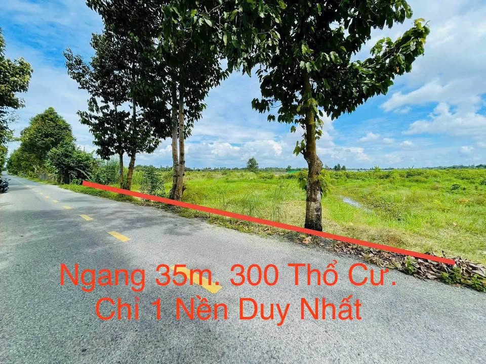 Đất thổ cư 300m² mặt tiền 35m tại Trường Long Tây - Giá 1.65 tỷ!