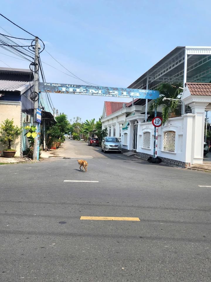 Đất thổ cư 105m² hẻm 218 Nguyễn Thông, An Thới, Cần Thơ - Giá chỉ 2.4 tỷ, thương lượng nhẹ!