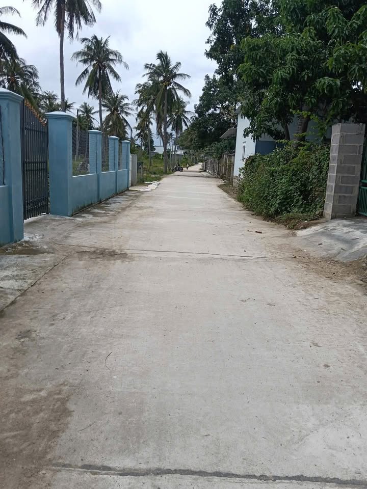 Đất thổ cư Cam Phúc Bắc 250m² giá 305 triệu - Cơ hội đầu tư hấp dẫn!