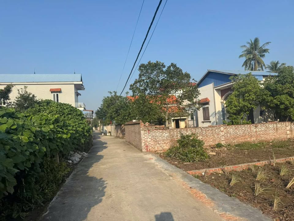Đất nền Thanh Lang, Thanh Hà, Hải Dương 100m² giá chỉ 6xx triệu - Cơ hội đầu tư hấp dẫn!