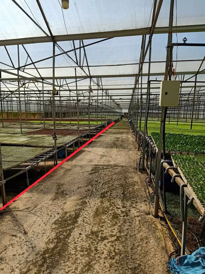 Đất nền xây dựng 202m² tại Đà Lạt chỉ 3.6 tỷ - Tiềm năng đầu tư lớn!