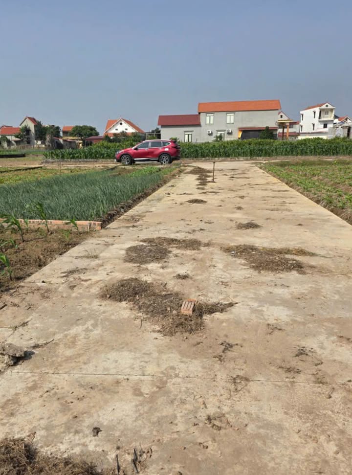 Đất nền Minh Tân Lương Tài 108m² giá chỉ 1,5 tỷ - Cơ hội đầu tư tuyệt vời!