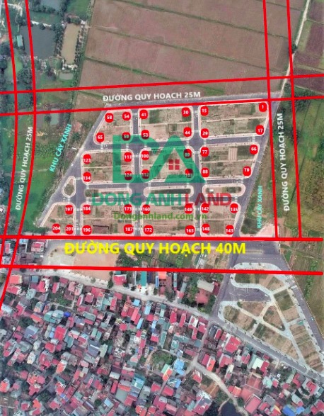 Đất đấu giá X1 Mai Lâm Đông Anh 80m² - Giá thỏa thuận, mặt tiền 5m, hạ tầng đồng bộ!