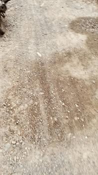 Đất nền Uyên Hưng Tân Uyên 116m² giá 1.2 tỷ - Vị trí mặt tiền đắc địa!