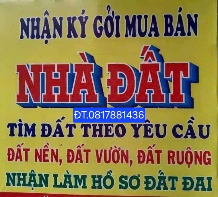 Đất mặt tiền ấp Đường Gổ Vàm, 700m² giá 840 triệu - Sổ hồng chính chủ