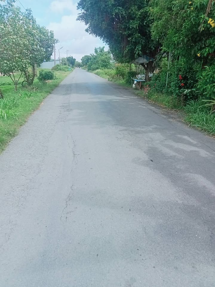 Đất mặt tiền tỉnh lộ 914, xã Long Hữu, 1125m² chỉ 1.125 tỷ - Cơ hội đầu tư tuyệt vời!