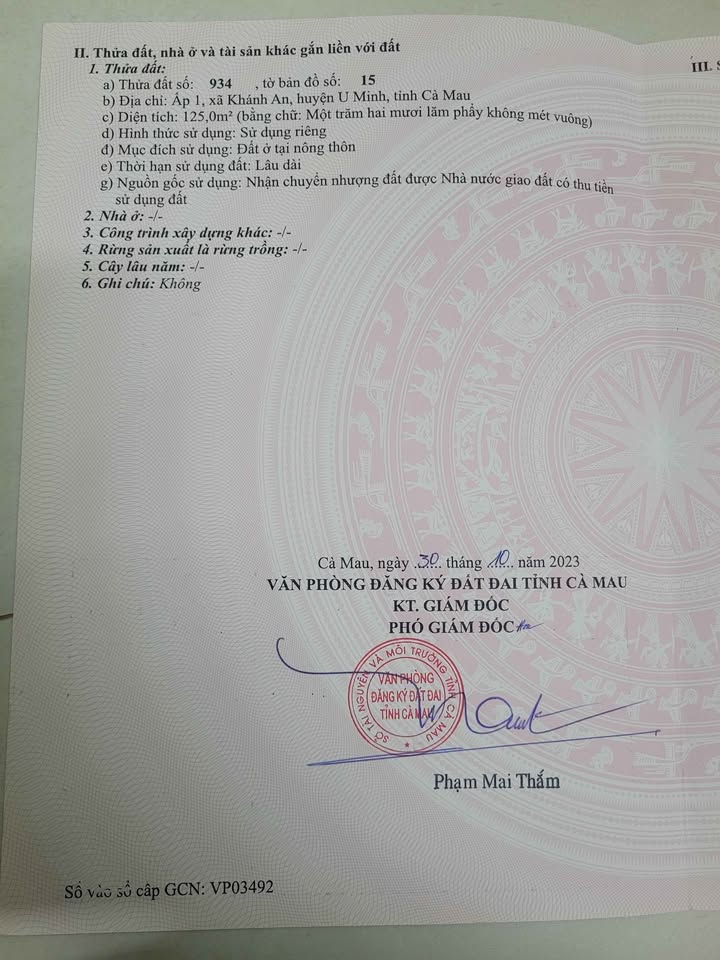 Đất nền thổ cư 125m² xã Khánh An giá 450 triệu - Đầu tư lý tưởng!