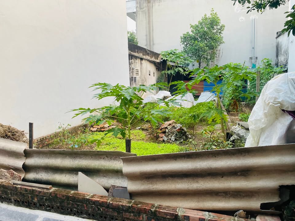 Đất nền Lương Quy Đông Anh 59m² giá chỉ 6x triệu - Sổ đỏ chính chủ