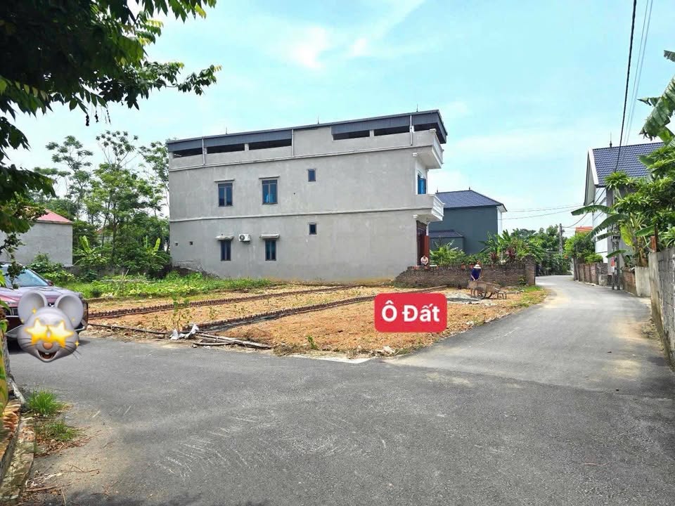 Đất nền Minh Quang - Tam Đảo 127m² giá 1.2 tỷ - Lô góc 2 mặt tiền thuận lợi!