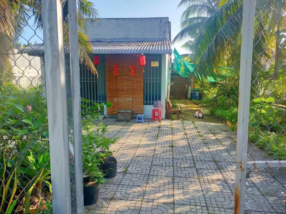 Nhà cấp 4 cho thuê đường Phạm Ngọc Thạch, 100m² giá 3.5 triệu - Không nội thất, sân vườn rộng rãi!