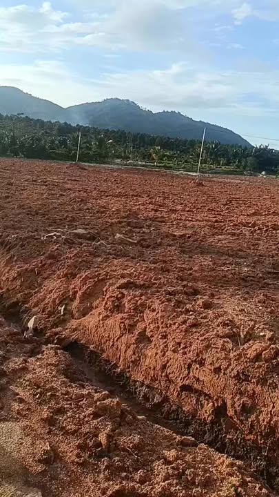 Đất 2ha mặt tiền đường tại thôn 10, xã Tân Thanh - Giá chỉ 7 tỷ VND