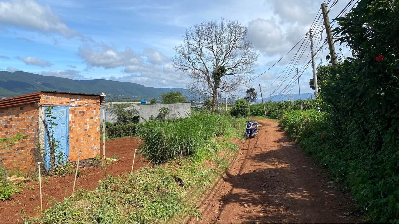 Đất nền 3300m² tại Tu Tra, Đơn Dương - Mặt tiền đường 60m, giá thỏa thuận!