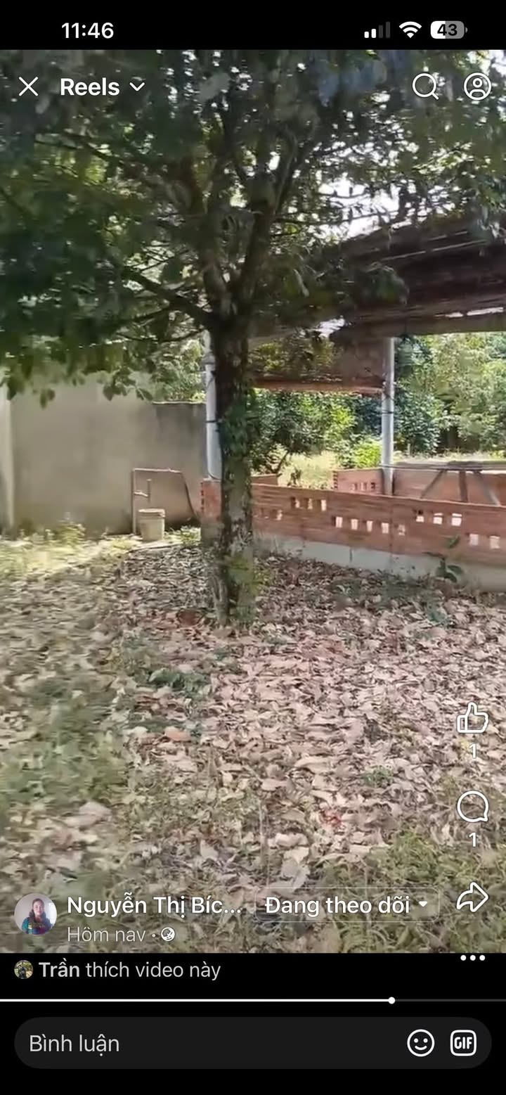 Đất vườn Tân Hiệp 2500m² giá 2 tỷ - Vườn trái cây đa dạng