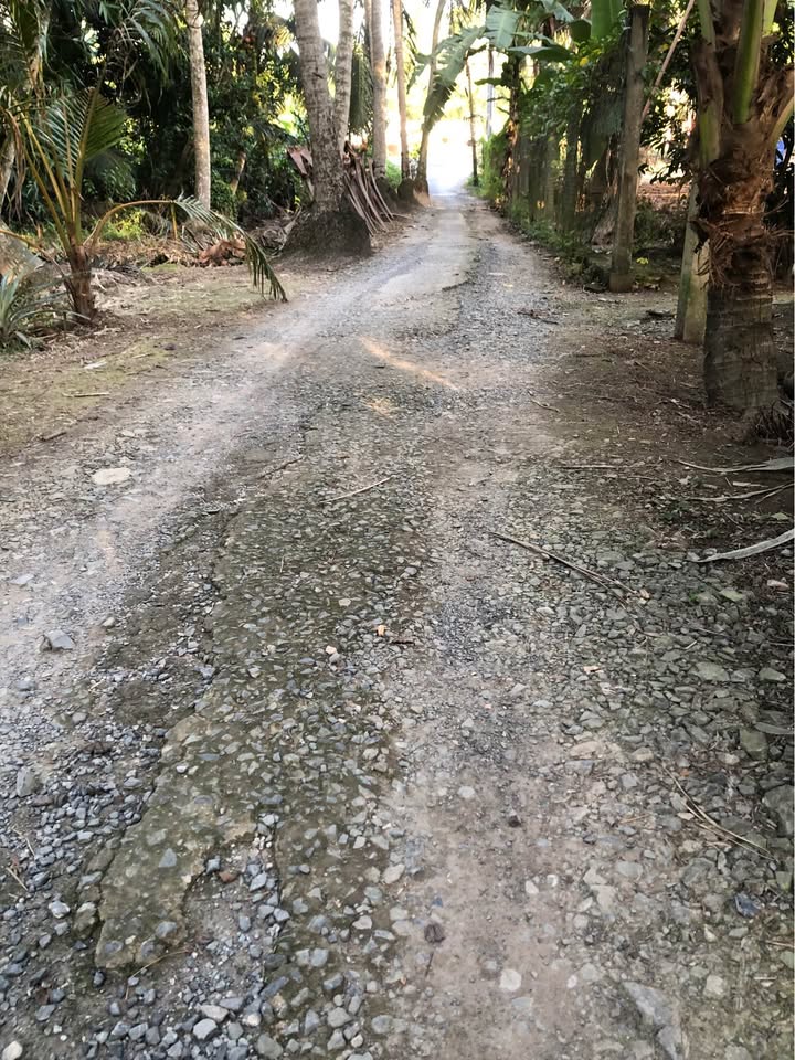 Đất vườn Quới An, Vĩnh Long 5000m² - Giá 400 triệu, thu hoạch xoài tốt!