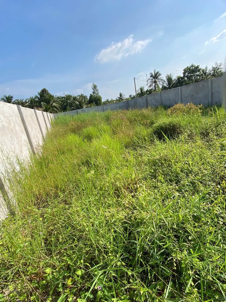 Đất nền biệt thự góc 2 mặt tiền Thanh Đức, Vĩnh Long 242m² - Giá chỉ 1.35 tỷ!