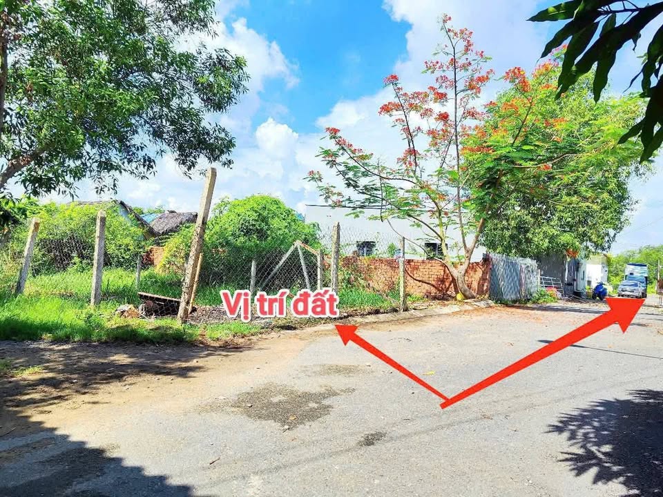 Đất nền Trường Thạnh, Thủ Đức 81m² giá 3.75 tỷ - Đầu tư sinh lời hấp dẫn!