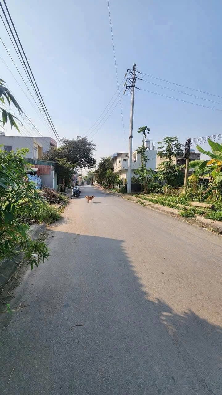 Đất nền chính chủ tại đường Chi Lăng, phường Quảng Thành, Thanh Hóa - Diện tích 400m², giá thỏa thuận!