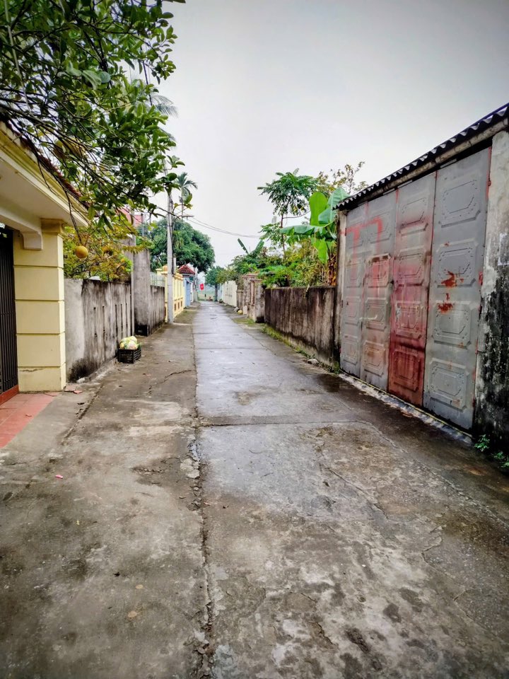 Đất nền Quảng Tâm, Thanh Hóa 113m² giá 1 tỷ - Đầu tư sinh lời ngay!