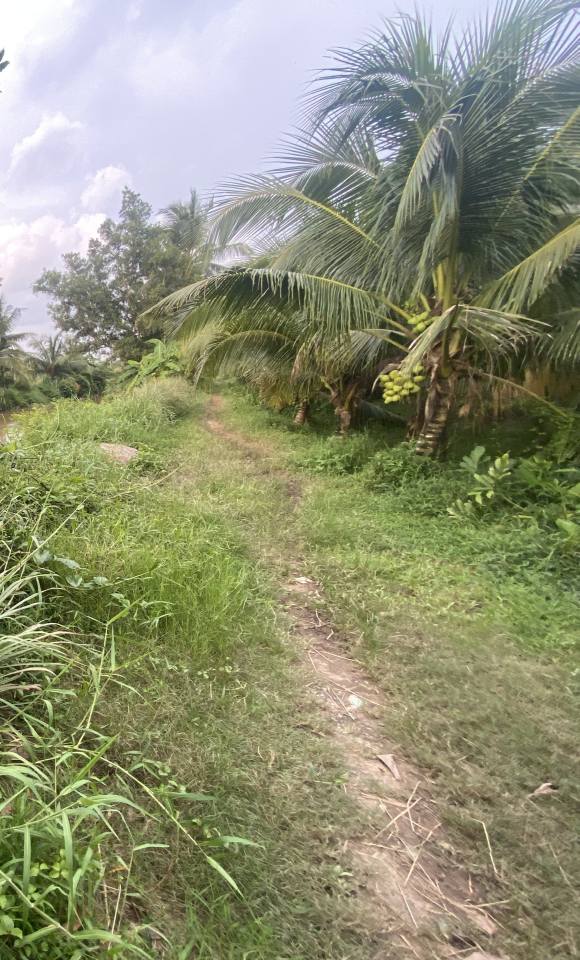 Đất nông nghiệp Đa Lộc, Châu Thành 3580m² giá 500 triệu - Vị trí đắc địa gần chợ và trường đại học!