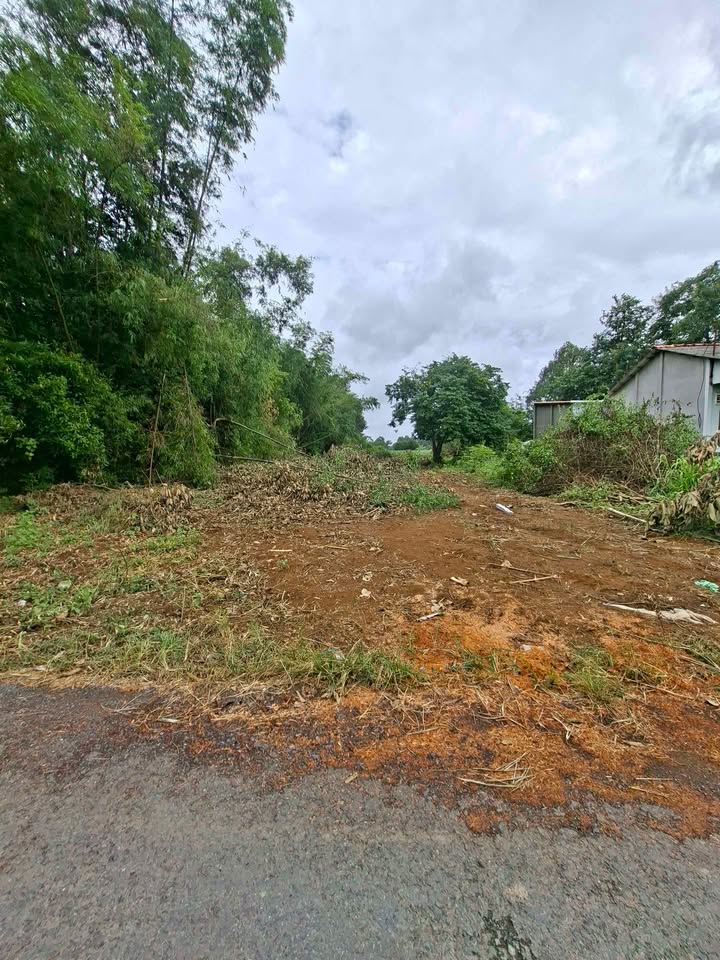 Đất nông nghiệp 5200m² tại Nhị Trường, Cầu Ngang - Mặt tiền 20m, giá thỏa thuận!