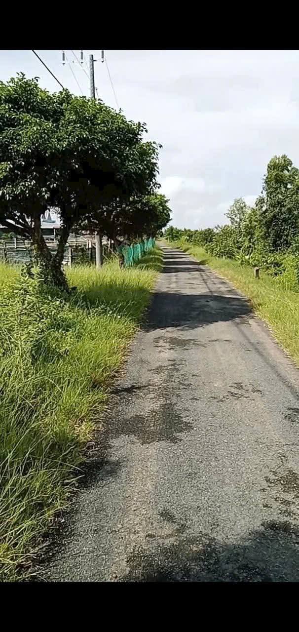 Đất vườn 9 công Long Hữu, Duyên Hải - Giá 1.26 tỷ, 2 mặt tiền đẹp!