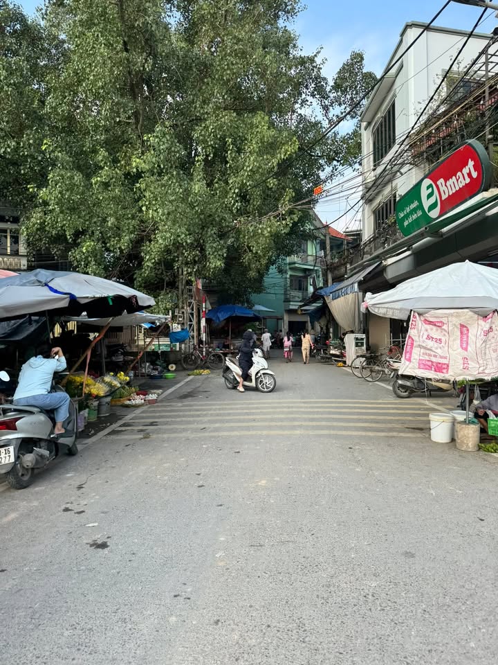 Đất chính chủ Sơn Đồng, Hoài Đức 88m² giá 9 tỷ - Vị trí trung tâm, dễ dàng di chuyển!