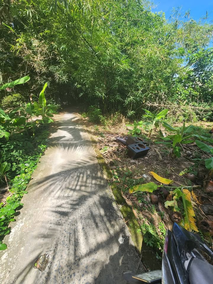 Đất nền 150m² phường Hưng Phú, Cái Răng - Giá chỉ 450 triệu!