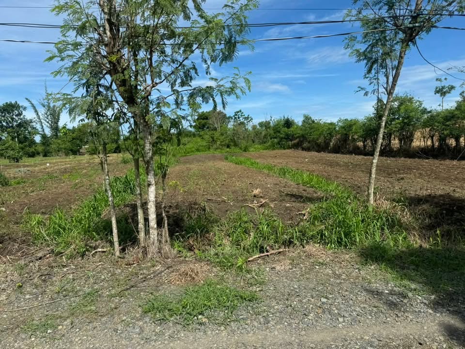 Đất thổ cư Xuân Tây, Cẩm Mỹ 2100m² giá 1.4 tỷ - Sổ đỏ chính chủ!