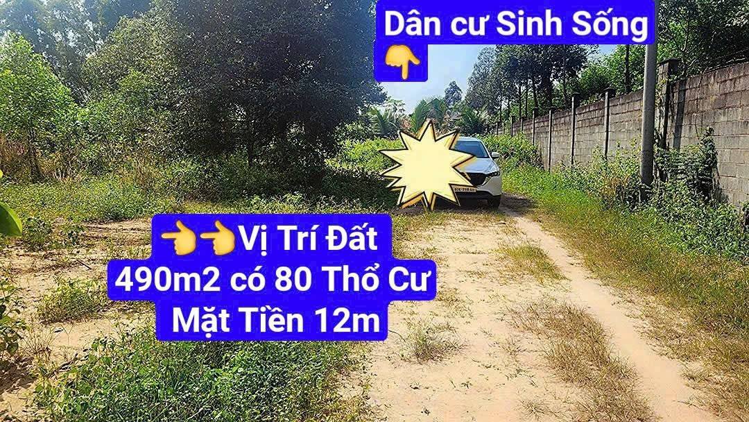 Đất thổ cư Nhơn Trạch 489m² giá 2.45 tỷ - Chính chủ bán gấp!