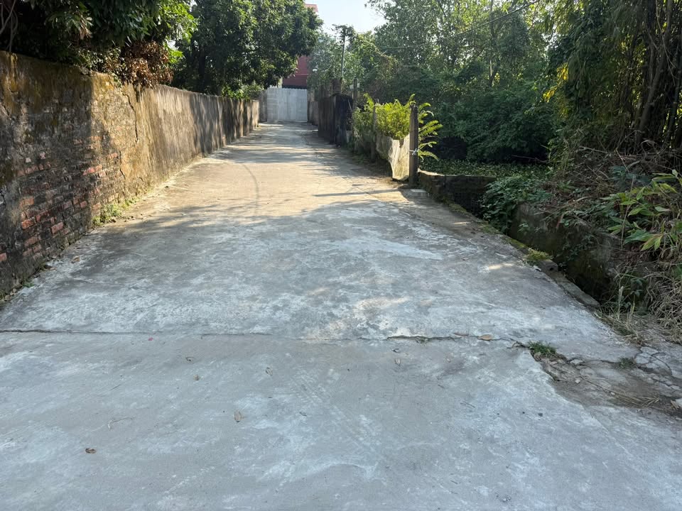 Đất nền Tam Quang Vũ Thư 400m² giá 1 tỷ - Đường ô tô vào tận nơi!