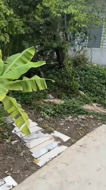 Đất nền Tân Thành Thủy Nguyên 200m² giá thương lượng - Cơ hội đầu tư hiếm có!