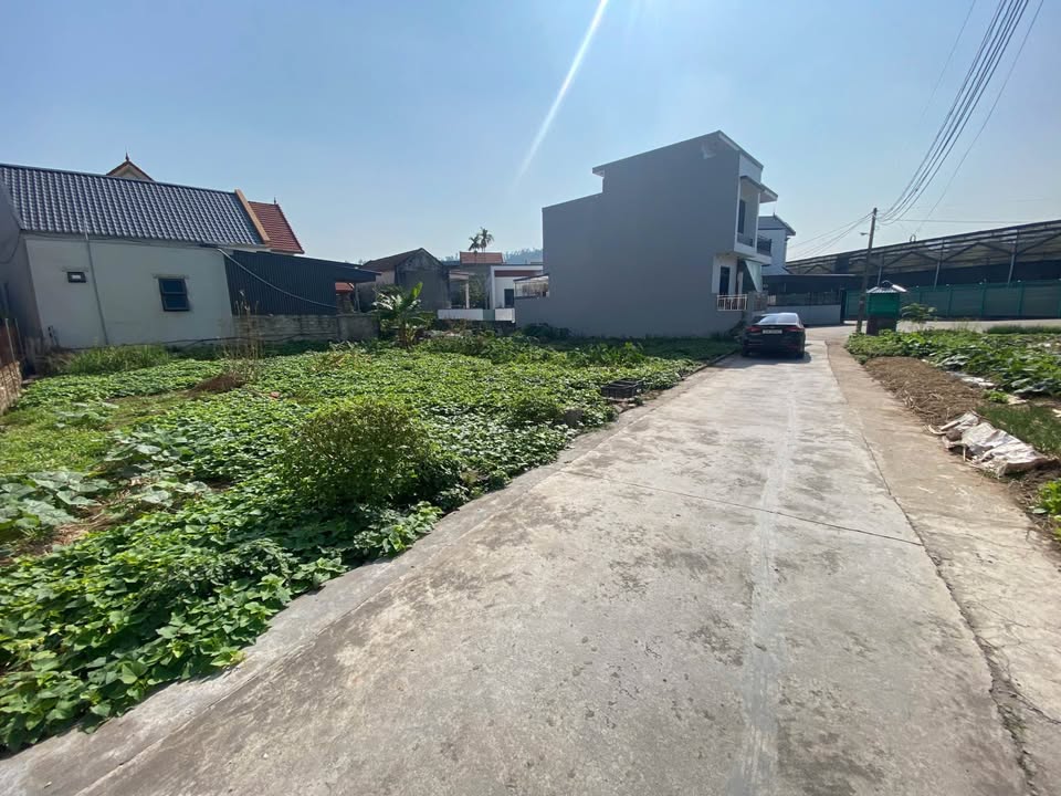 Đất nền Đông Sơn Thủy Nguyên 62m² giá 1.5 tỷ - Đầu tư sinh lời ngay!