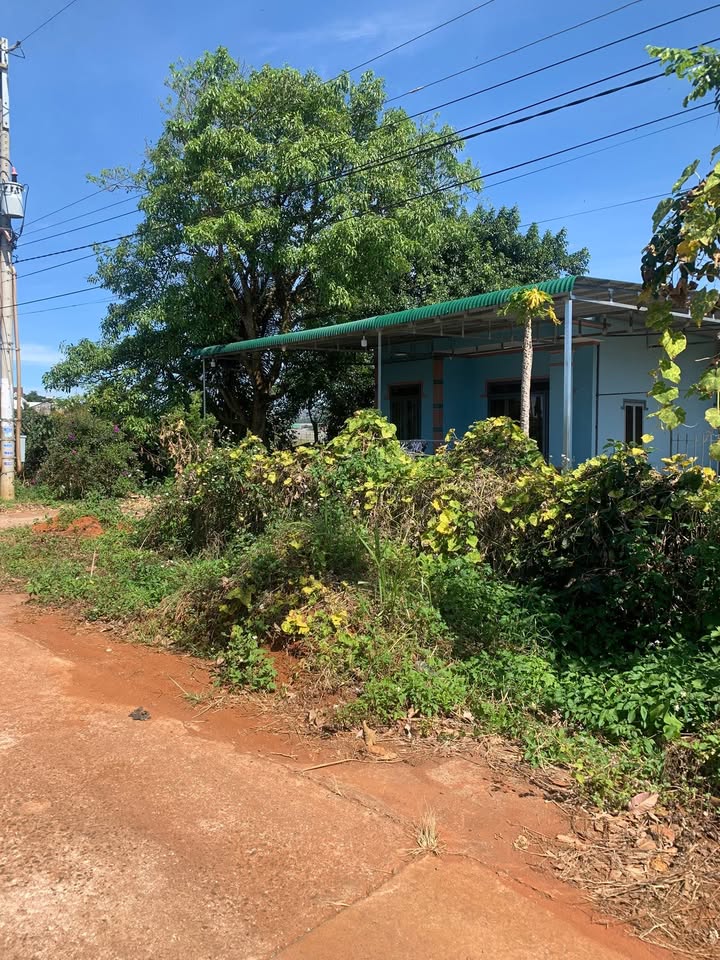 Đất Nam Hà Lâm Đồng 2000m² giá 4 tỷ - Sẵn sàng xây dựng ngay!